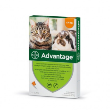 Advantage 40 Advantage Spot on kistestű macskáknak és nyulaknak